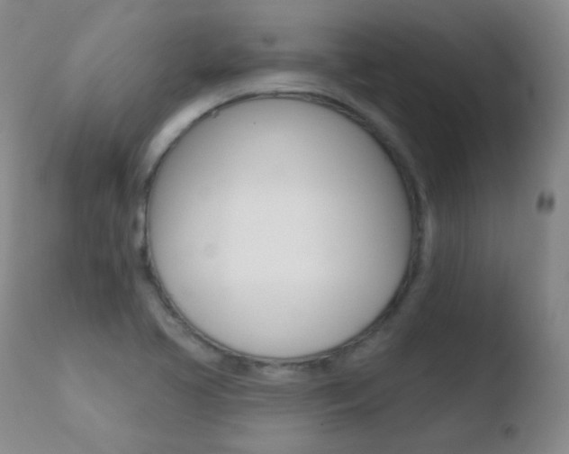 X0000110721413200906121235