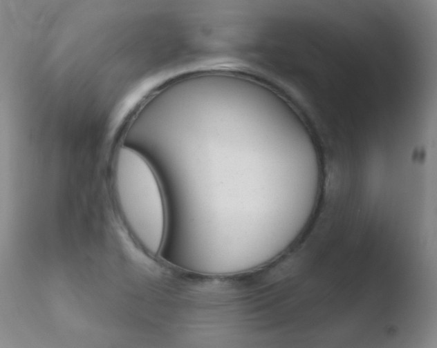 X0000110721414200906121235