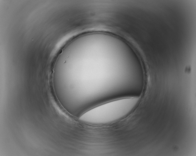X0000110721416200906121235