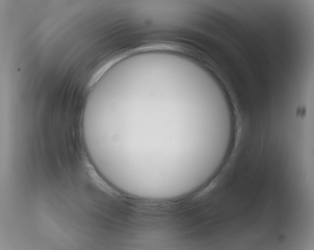 X0000110721417200906121235