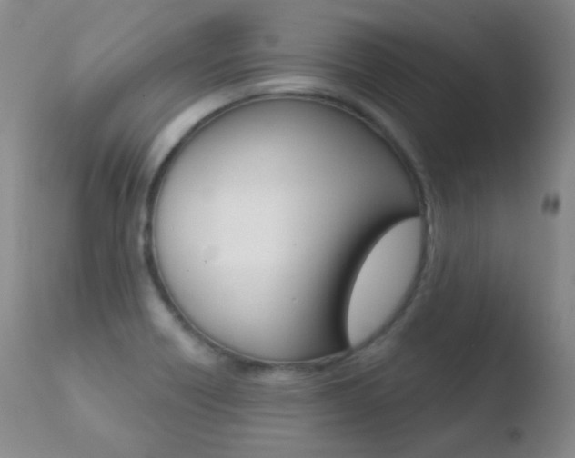 X0000110721418200906121235