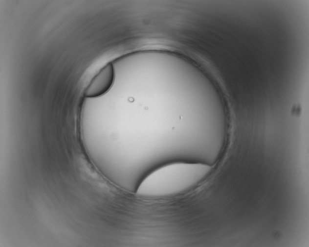 X0000110721419200906121235