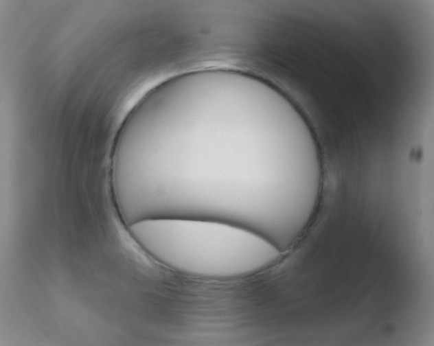 X0000110721423200906121235