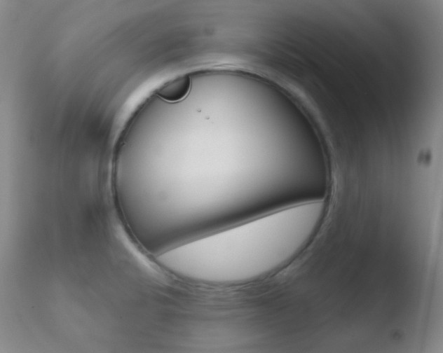 X0000110721424200906121235