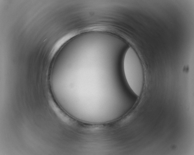 X0000110721426200906121235