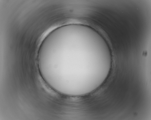 X0000110721427200906121235
