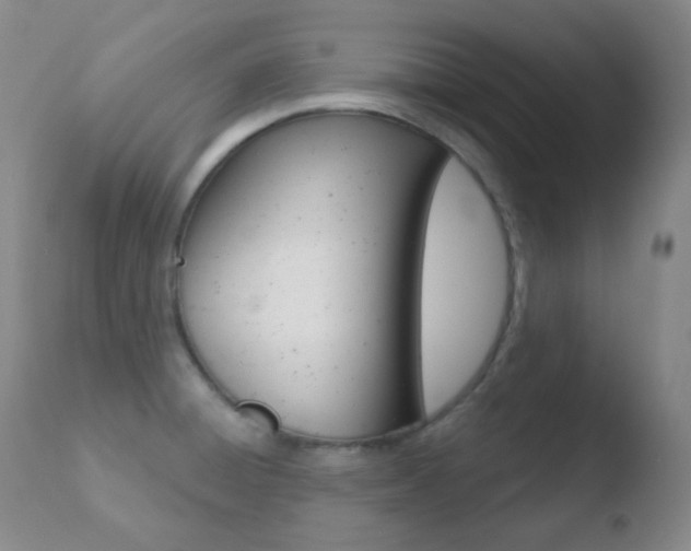 X0000110721428200906121235