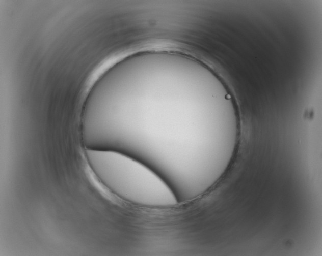X0000110721429200906121235