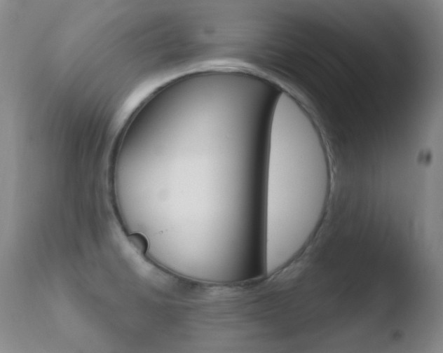 X0000110721430200906121235