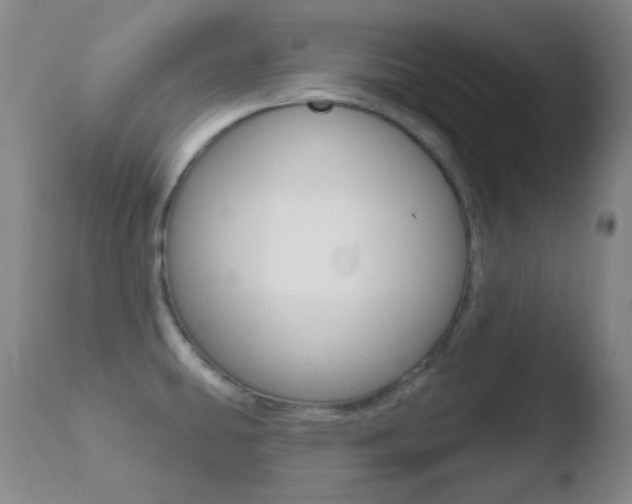 X0000110721431200906121235