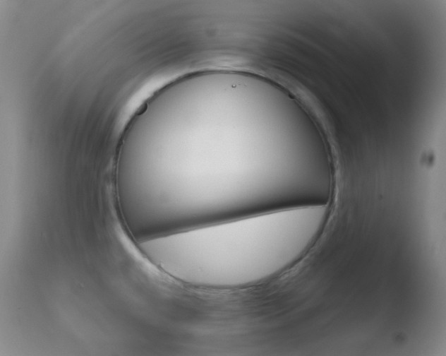 X0000110721432200906121235