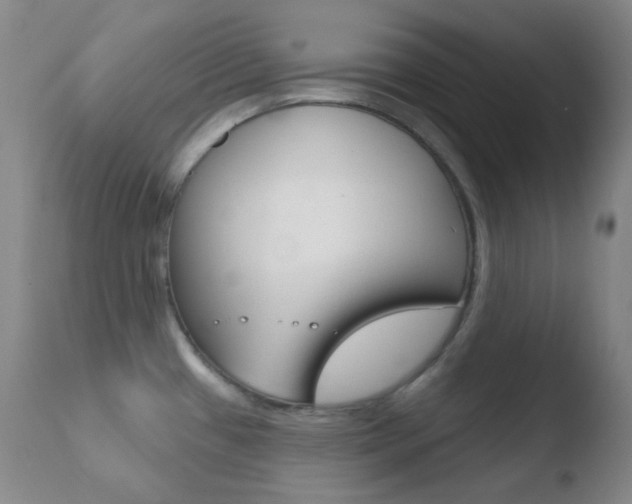 X0000110721433200906121235