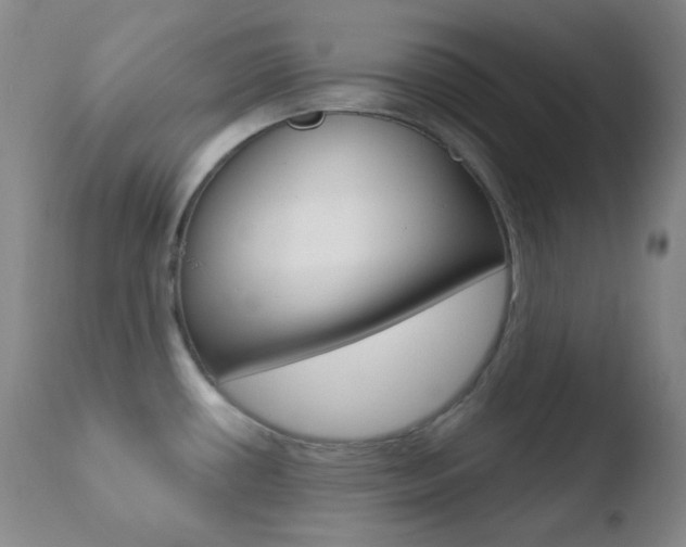 X0000110721434200906121235