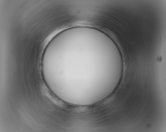 X0000110721435200906121235