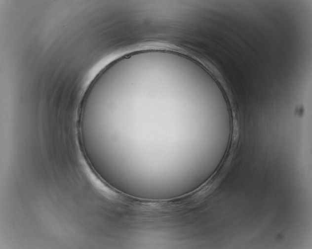 X0000110721438200906121235