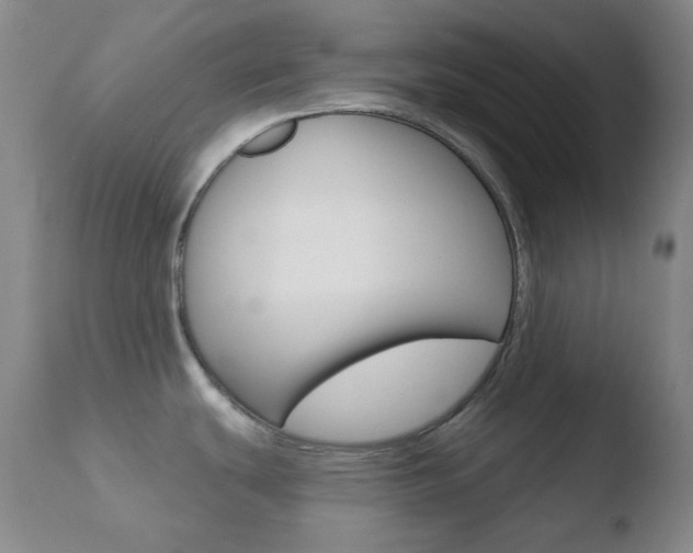 X0000110721439200906121235