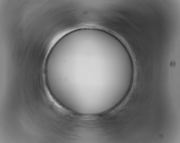 X0000110721440200906121235
