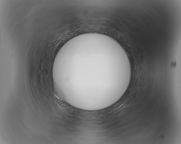 X0000110721441200906121235