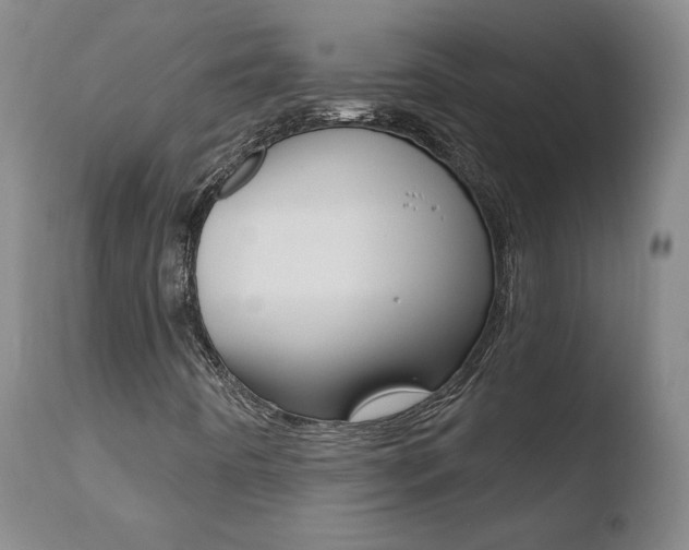 X0000110721442200906121235