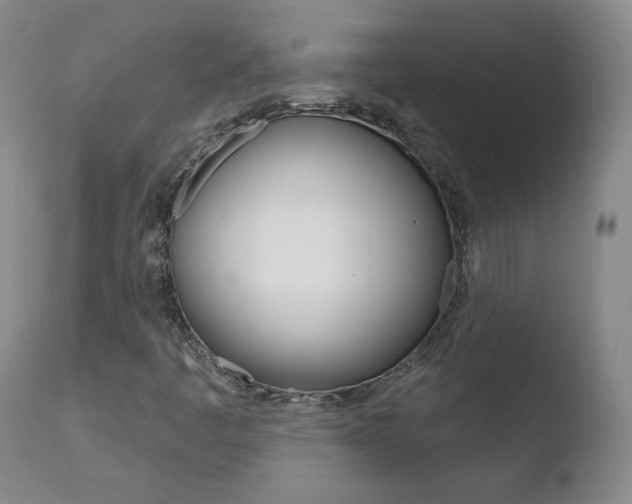 X0000110721445200906121235