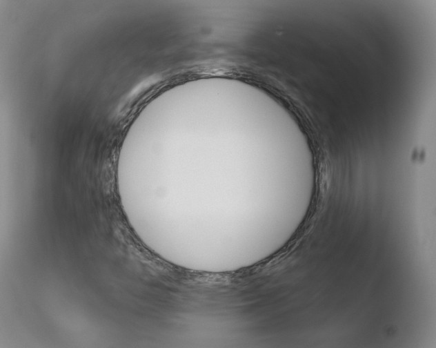 X0000110721446200906121234