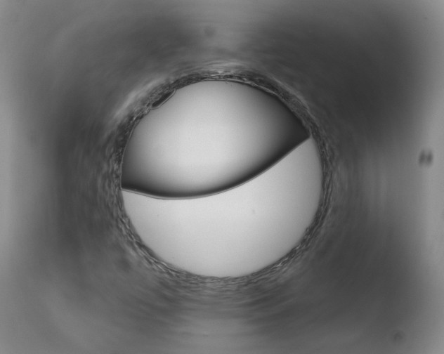 X0000110721447200906121234