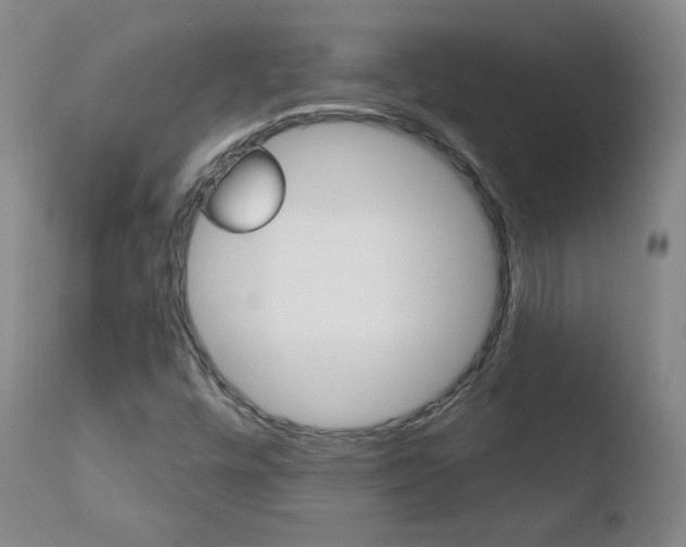X0000110721448200906121234