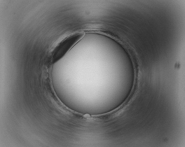 X0000110721449200906121234