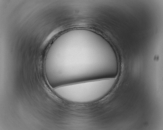 X0000110721450200906121234