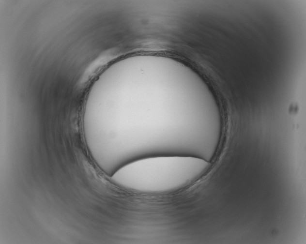 X0000110721451200906121234
