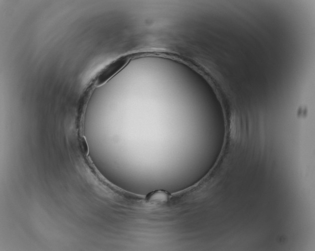 X0000110721452200906121234