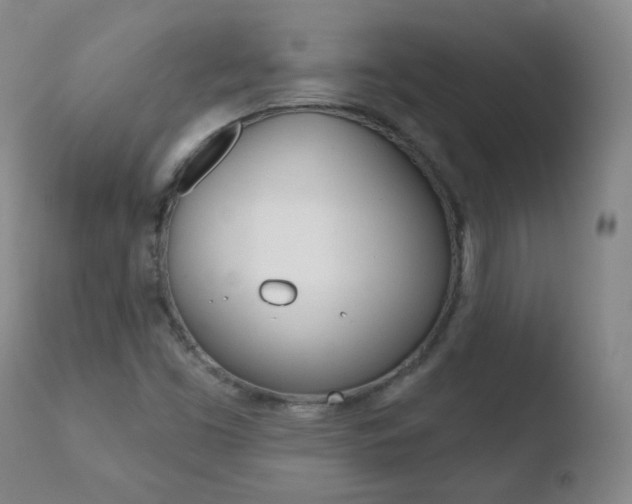 X0000110721453200906121234