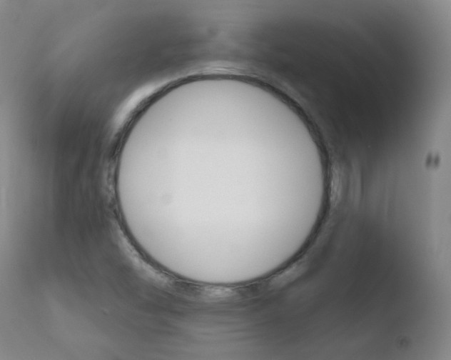 X0000110721454200906121234