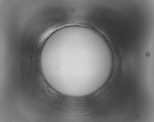 X0000110721455200906121234
