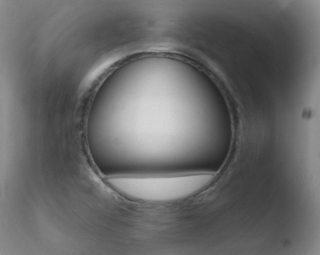 X0000110721456200906121234