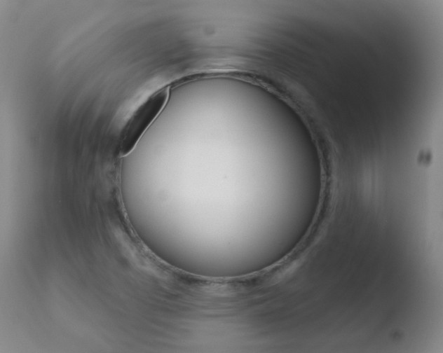 X0000110721457200906121234