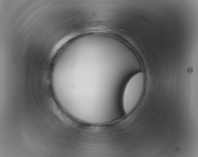 X0000110721458200906121234