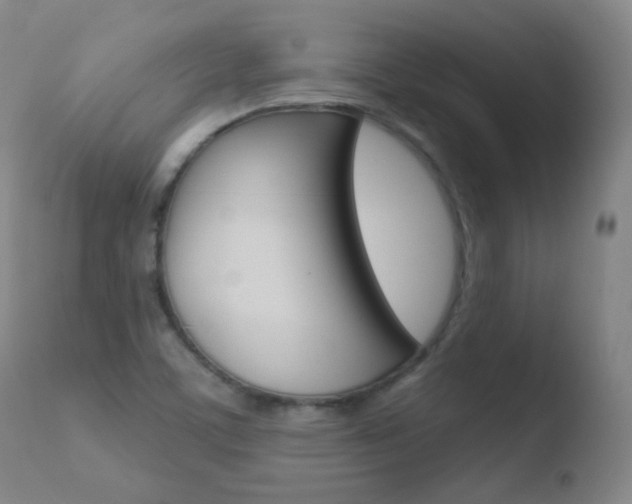 X0000110721459200906121234