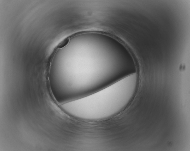 X0000110721460200906121234