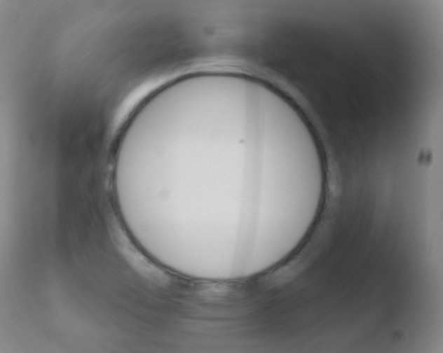X0000110721462200906121234