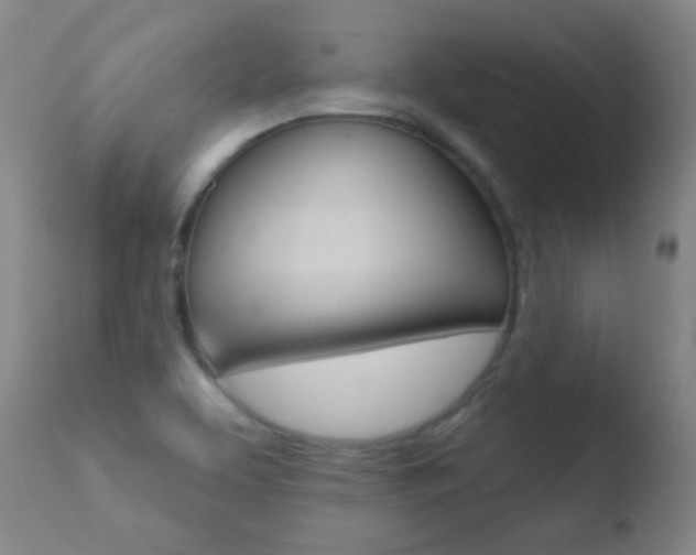X0000110721463200906121234