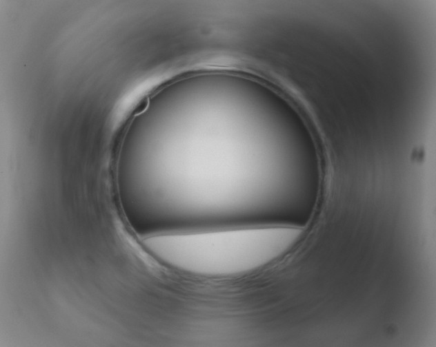 X0000110721464200906121234