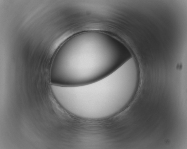 X0000110721465200906121234