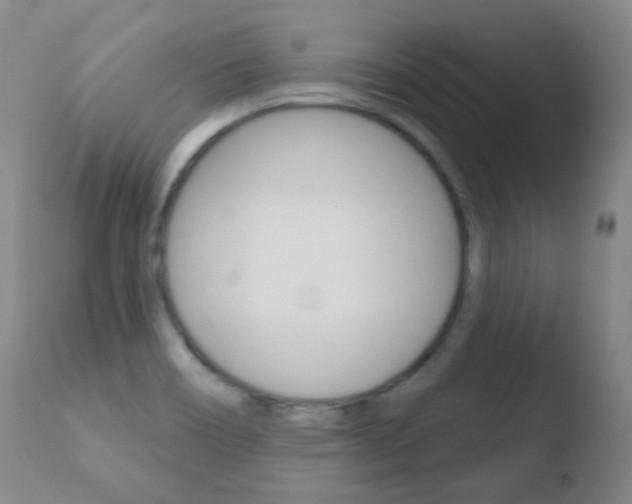 X0000110721466200906121234