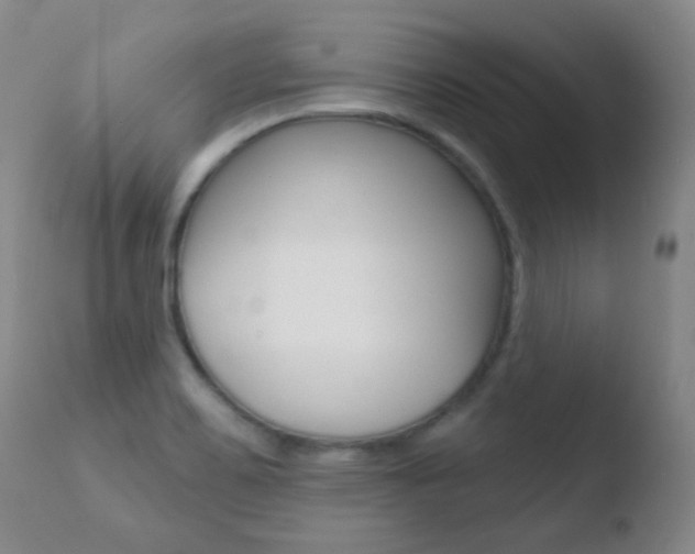 X0000110721467200906121234