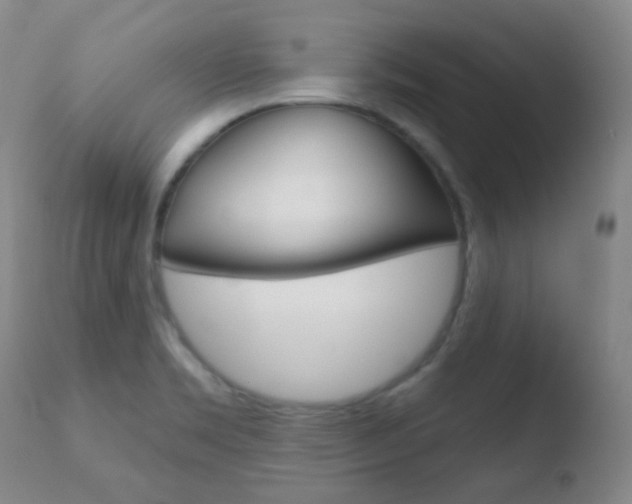 X0000110721469200906121234
