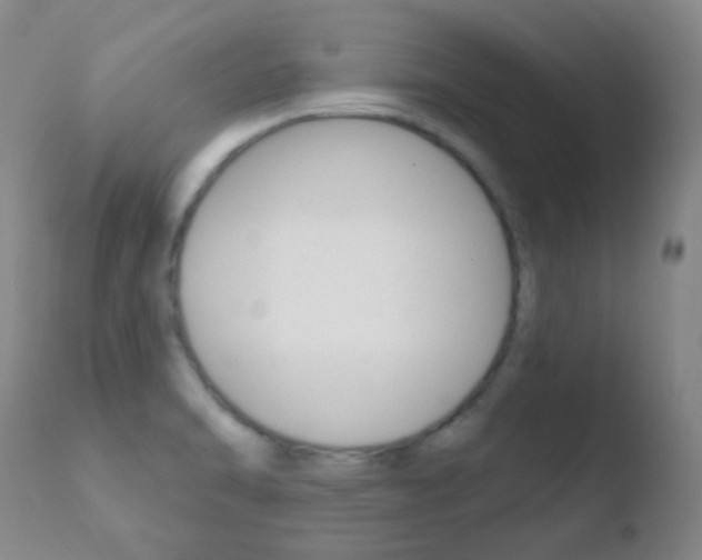 X0000110721470200906121234