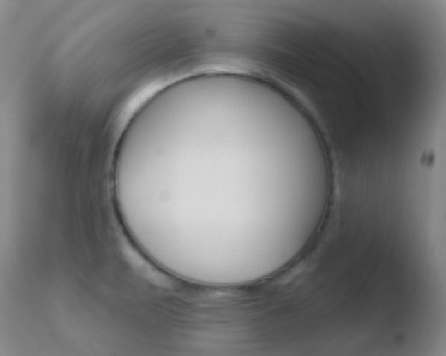 X0000110721471200906121234