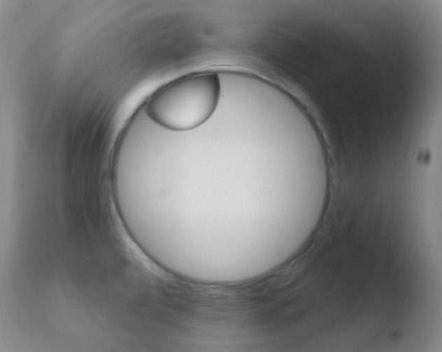 X0000110721472200906121234
