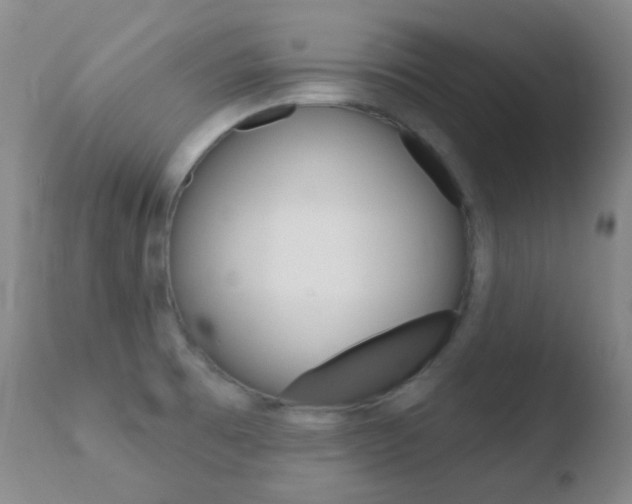 X0000110721473200906121234